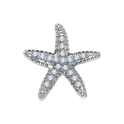 Silver Starfish